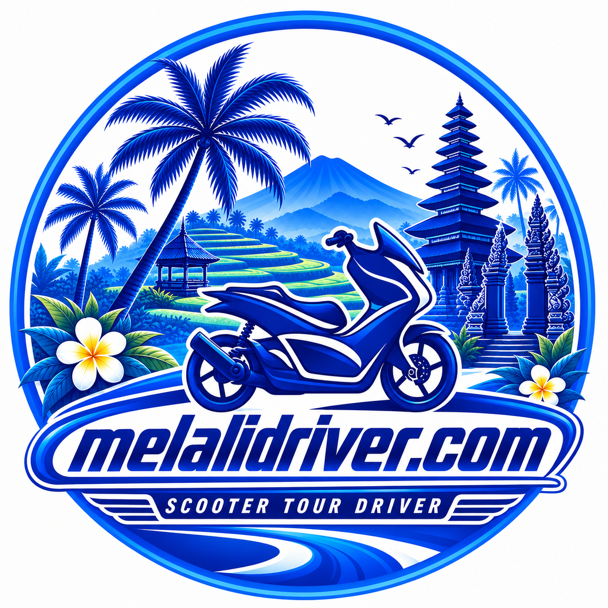 MelaliDriver.com